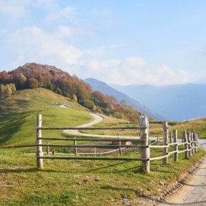 City to Country Guide