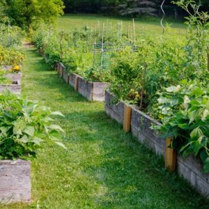 Soil Health Fundamentals