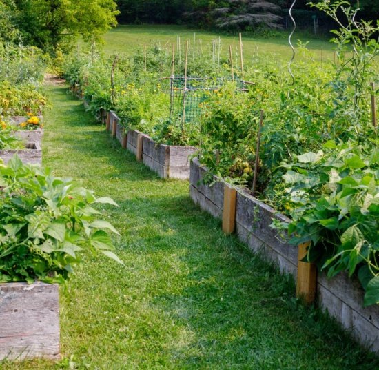 Soil Health Fundamentals