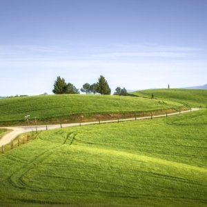 Income and Financial Stewardship